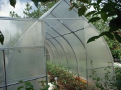 Счастливые обладатели теплиц