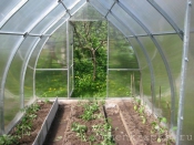 Счастливые обладатели теплиц