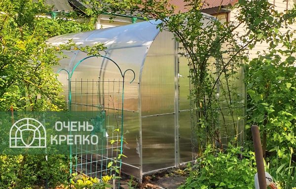 Теплица Звезда фото 1