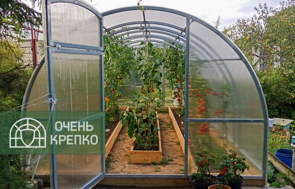 Теплица Усиленная Титан 3м фото 11