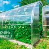 Теплица Звезда 2,5м фото 1