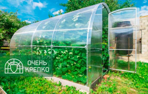 Теплица Звезда 2,5м фото 1