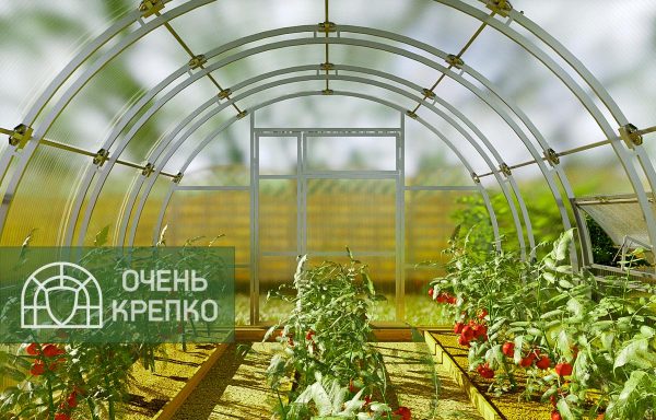 Теплица Усиленная Титан 3,5м фото 2