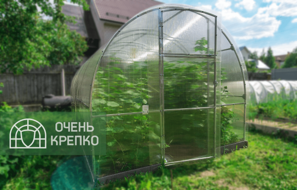 Теплица Звезда фото 8