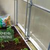 Теплица Пристенная фото 3