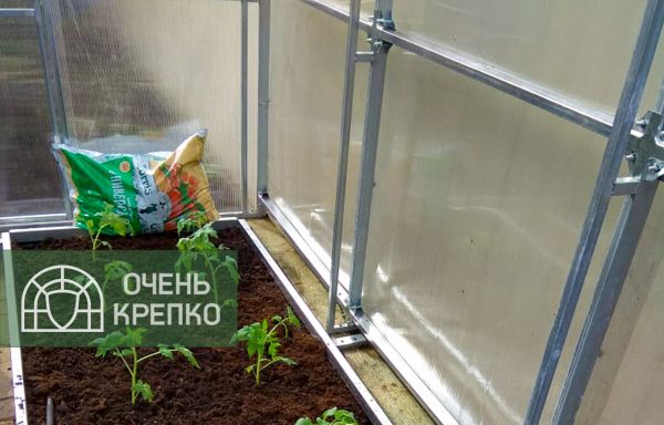 Теплица Пристенная фото 3