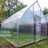 Теплица Каплевидная 3м фото 3
