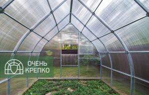 Теплица "Каплевидная" внутри