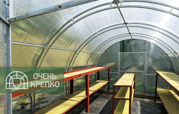 Теплица Звезда фото 5