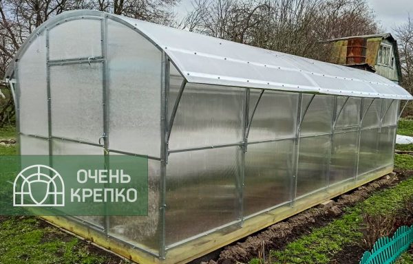 Теплица Гриб фото 1