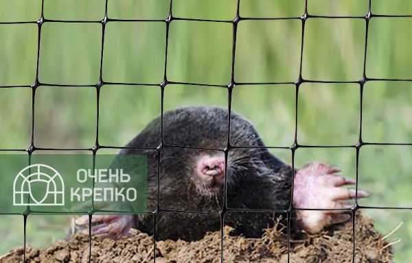 Сетка от кротов фото 2