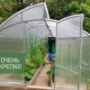 Теплица Миттлайдер фото 1