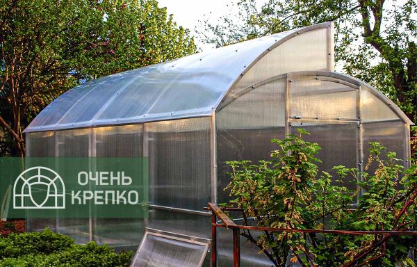 Теплица "Миттлайдер" внешний вид