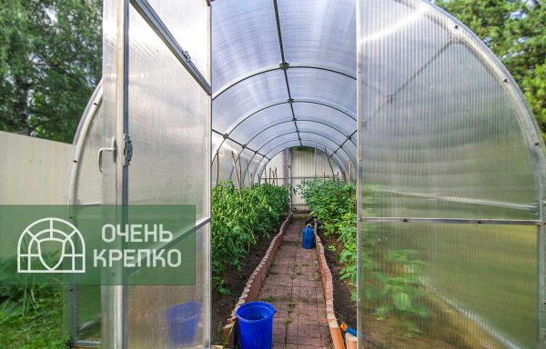 Теплица Счастье Садовода 3м фото 3