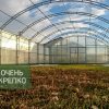 Теплица «ОченьКрепко» фото 1