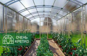 Теплица Сказка Титан ширина 3 м