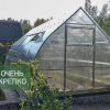 Теплица Каплевидная 3,5м фото 3