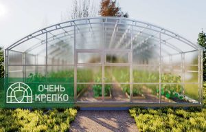 Теплица Фермерская