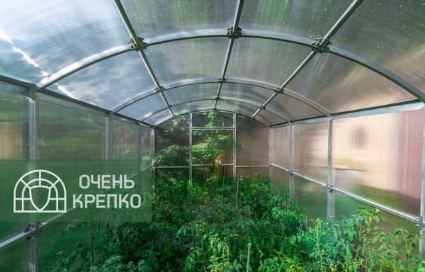 Теплица Квадратная фото 2