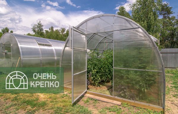 Теплица Усиленная фото 3