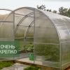 Теплица Усиленная фото 4