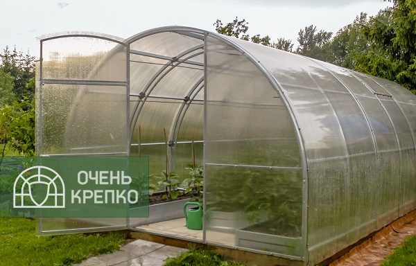 Теплица Усиленная фото 4