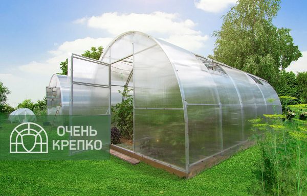 Теплица Усиленная фото 1