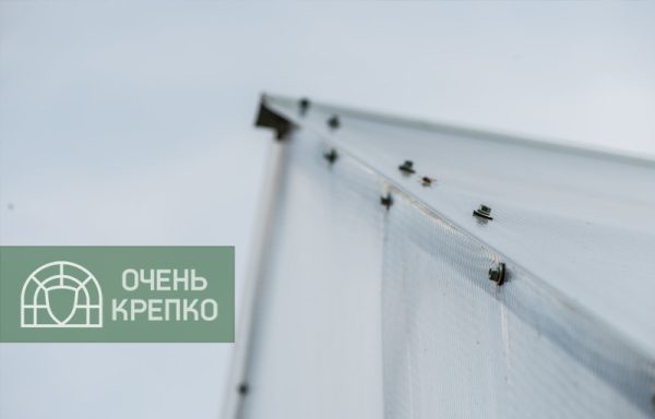 Теплица Каплевидная 3,5м Люкс фото 3