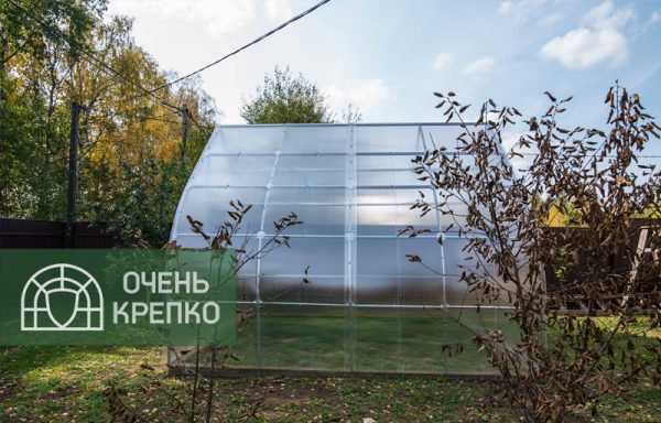 Теплица Каплевидная 4м Люкс фото 3