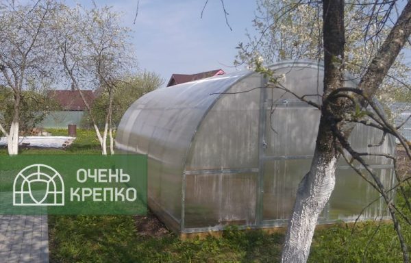 Теплица Усиленная Титан 3,5м Люкс фото 2