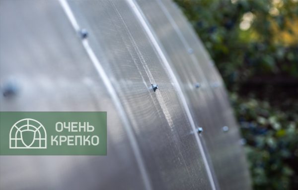 Теплица Каплевидная 3,5м Люкс фото 2