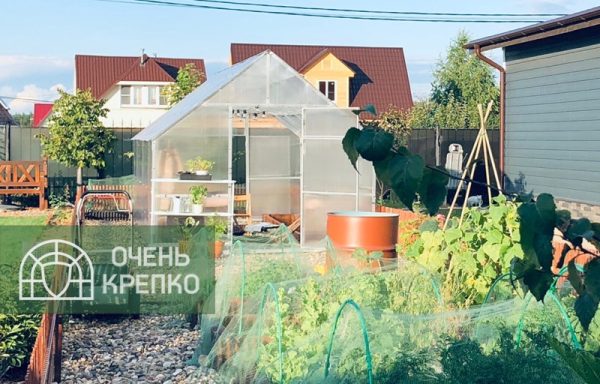 Теплица Алтайская сказка 3,5м Люкс фото 2