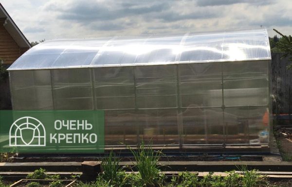 Теплица Пристенная 3м Люкс фото 3